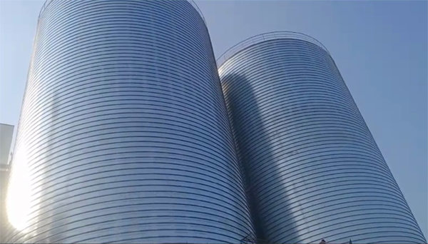 苍南2座混凝土高架卷板仓